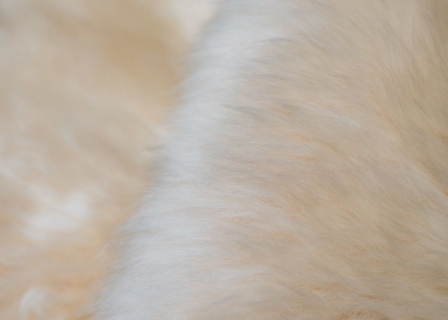 Interiors Shepherd of Sweden Rugs | Champagne Linn Long Haired Sheepskin Rug