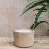 Interiors Mon Dada Candles & Fragrance | Down To Earth Small Indoor Candle In Hazel