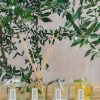 Interiors Branche D'Olive Candles & Fragrance | Branche D'Olive Diffusers 200Ml