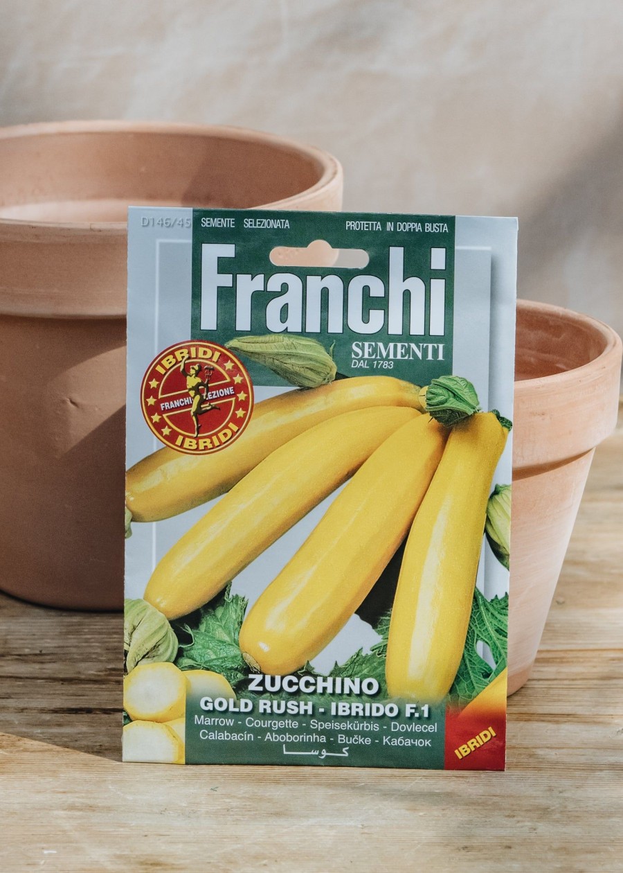 Plants Seeds of Italy Seeds | Franchi Courgette 'Gold Rush' Seeds F1 Hybrid