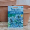 Plants Johnsons Seeds | Eryngium Alpinum 'Superbum' Seeds