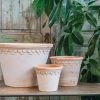 Interiors Bergs Potter Houseplants & Pots | Rosa Copenhagen Pots