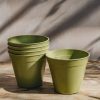 Gardening Haxnicks Grow Your Own | Sage Green Bamboo Nursery Pots, 6", Pack Of Five